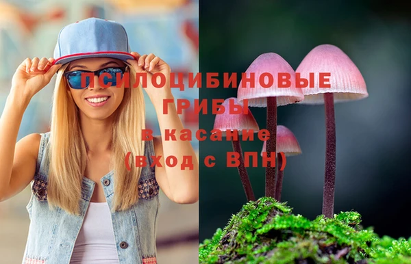 каннабис Каменногорск