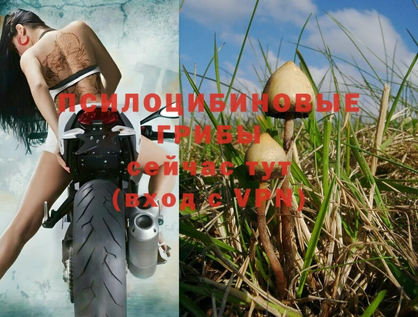 гашиш Каменка